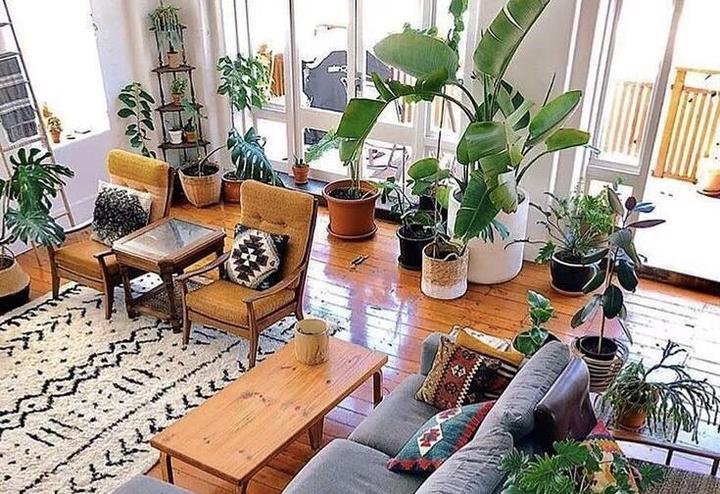 注意防护！未来一周，广东这些地区蚊子非常活跃