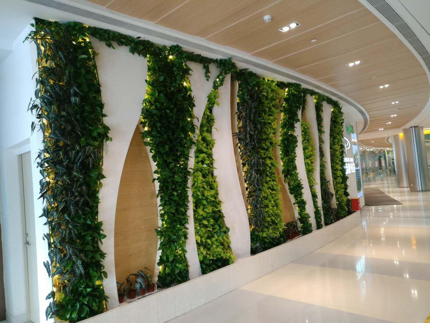 注意防护！未来一周，广东这些地区蚊子非常活跃