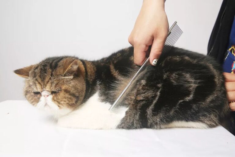 雄安低空交通创新技术应用大赛决赛收官 张家口“负电离子吸附喷洒系统”表现突出