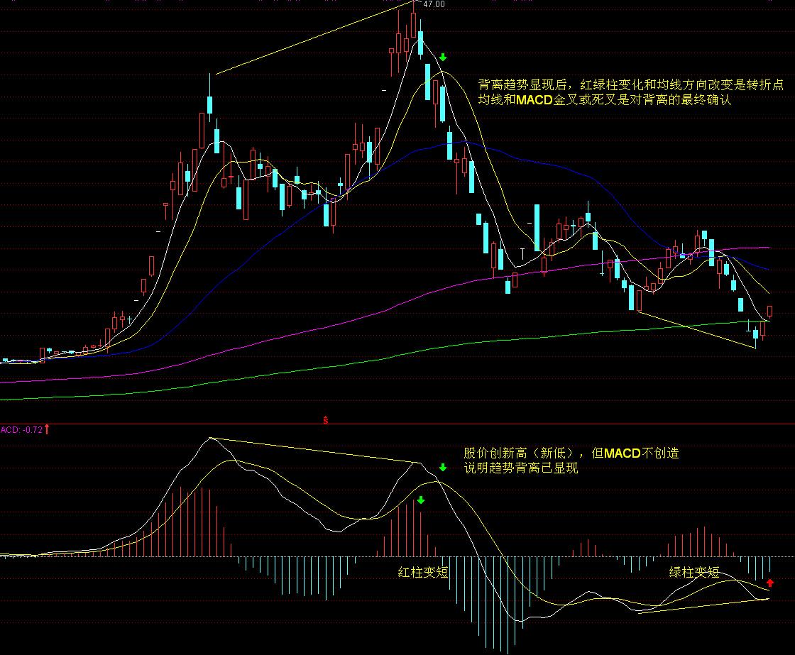 我市部署2025年春季农业生产工作