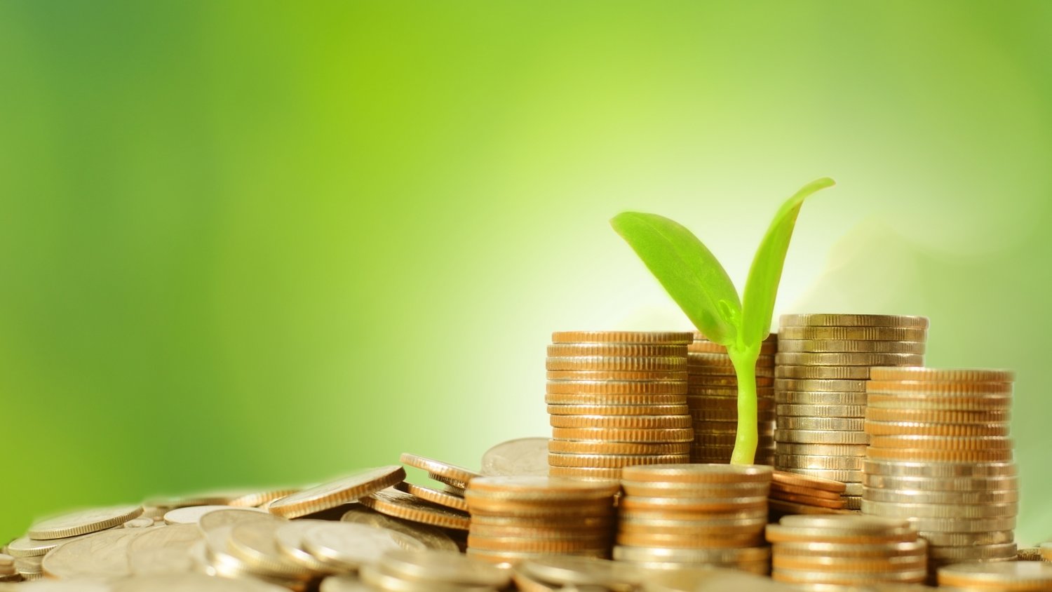 趁热打“贴”,三伏天灸开启!温阳驱寒、调理脏腑正当时