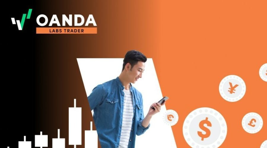 快讯丨2024年度县（市、区）党委书记和市直有关工委（党委、党组）书记抓基层党建工作述职评议会召开