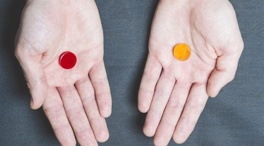 兼职打工,实践学习,当志愿者…梅州大学生积极开展暑期实践