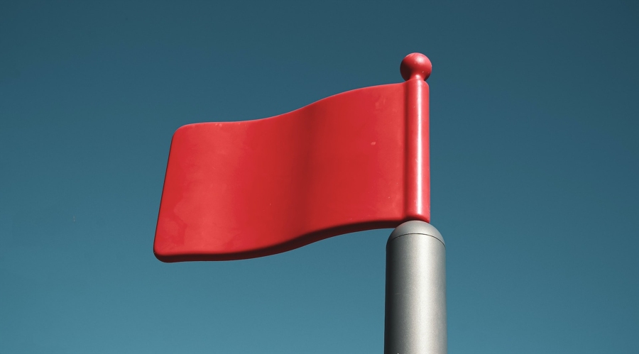 160万亩林地释放“绿色生产力”  张家口市林下经济年产值突破3.15亿元