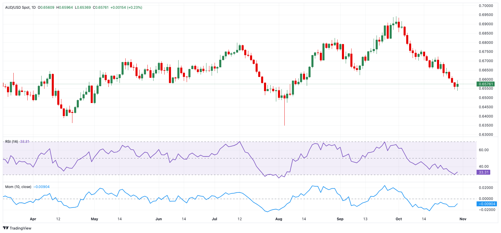 多名“湛将”代表广东队参赛
